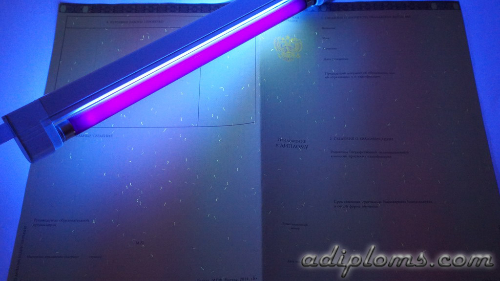 Диплом специалиста 2014-2026 Фото