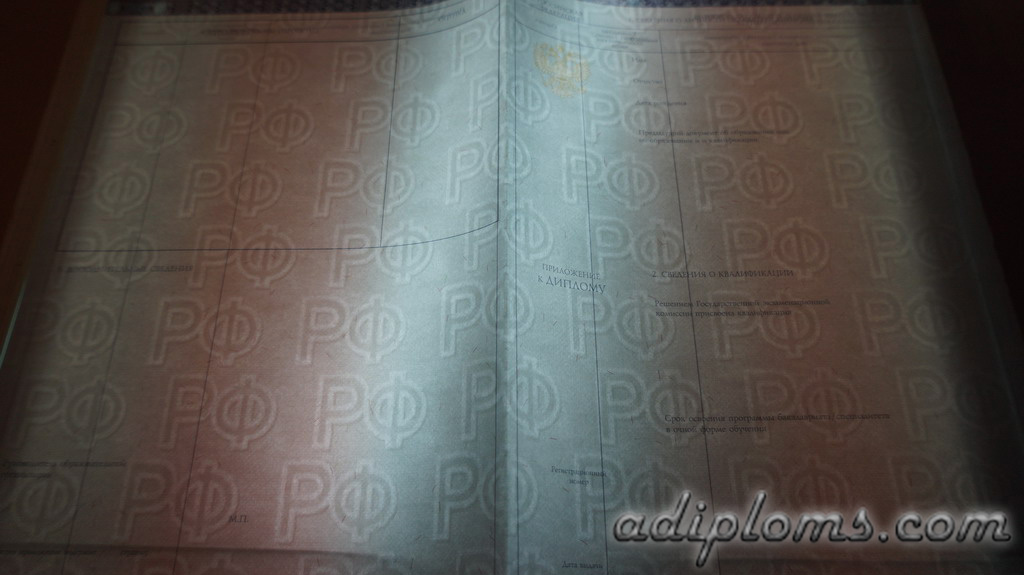 Диплом специалиста 2014-2026 Фото